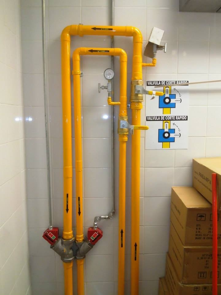 WhatsApp Image 2025-06-18 at 1.59.13 p.m. (1)